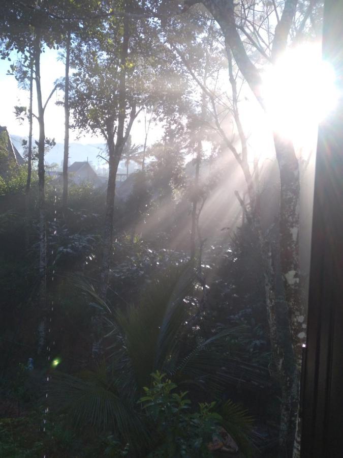 Winterhome Homestay Munnar Exterior foto